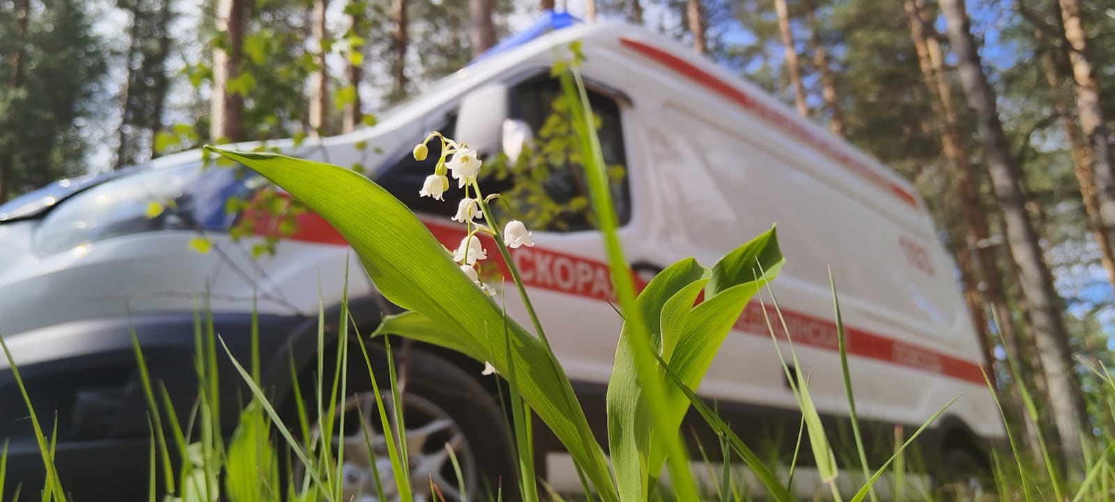 Заголовок